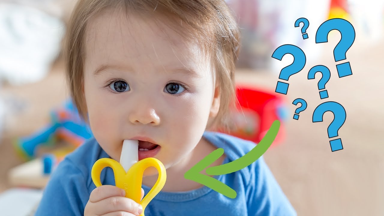 Should You Use Chew Toys  Autism Chew Toys for Chewing & Biting Problems