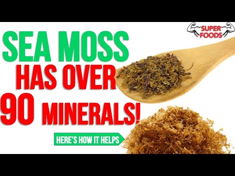 10 Sea Moss Benefits YOU NEED TO KNOW!