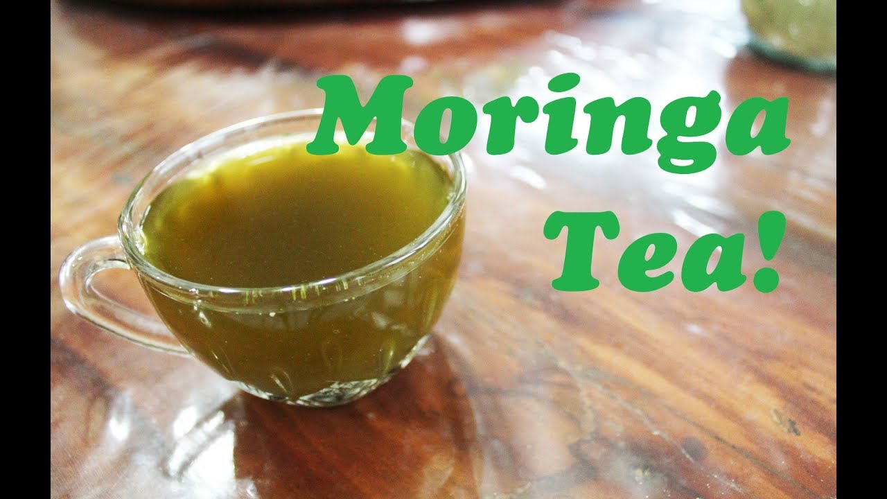 Moringa Tea Recipe - Healthy and Easy To Make!