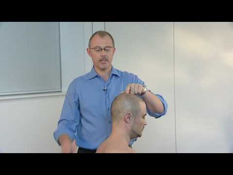 How to Locate Acupuncture Points (DU20)