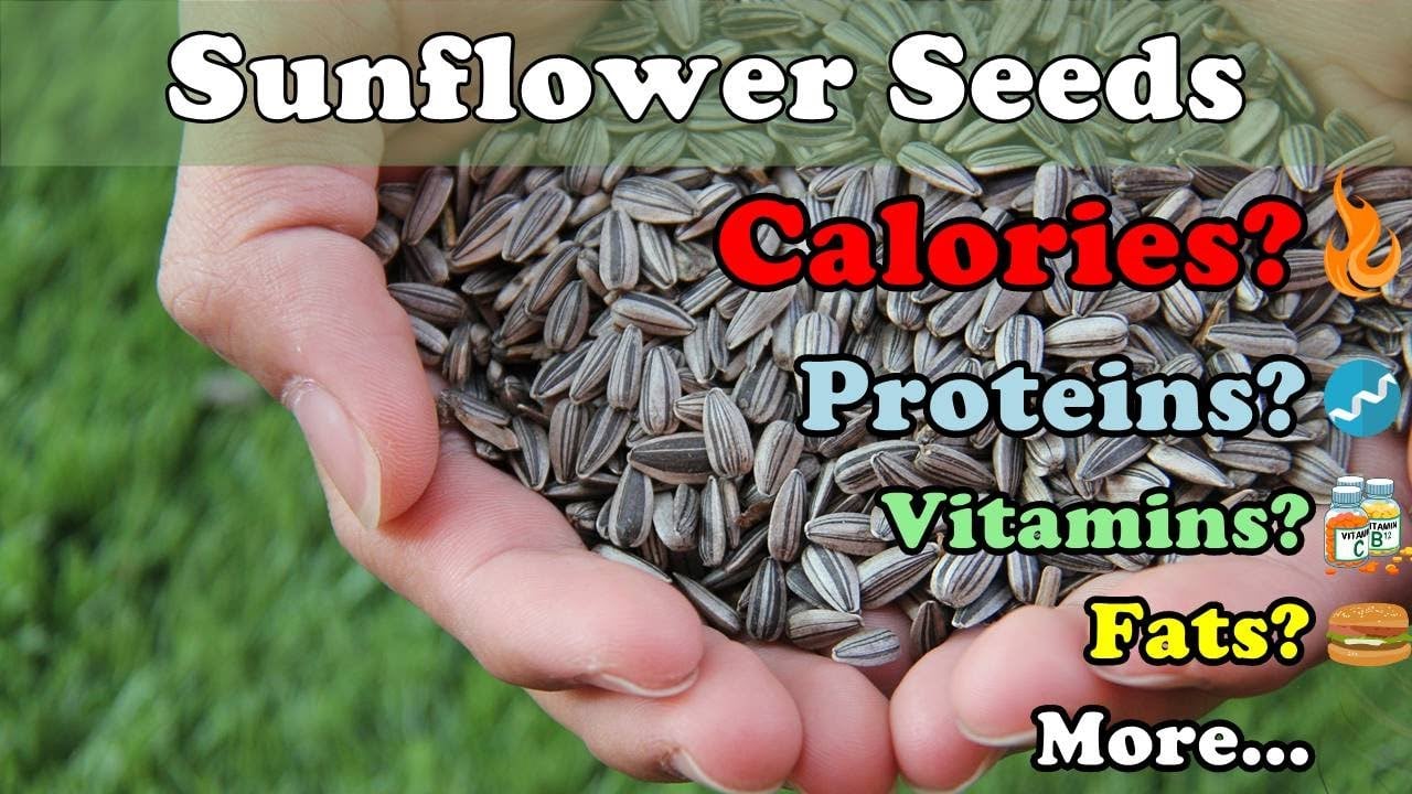 SUNFLOWER SEEDS - Calories, Proteins, Vitamins, Fat, Minerals [ANALYSIS] #4