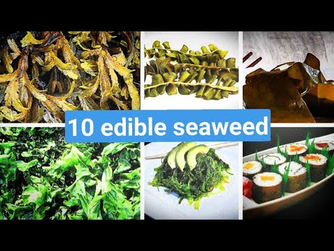 10 types of edible seaweed
