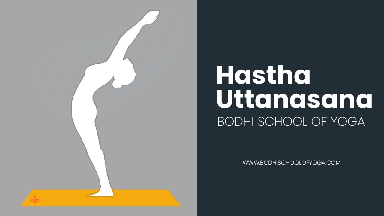 How to do Hastha Uttanasana| Raised Arms Pose| Bodhi School of Yoga