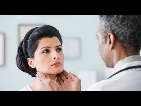 What Your Thyroid Gland Does – The Basics