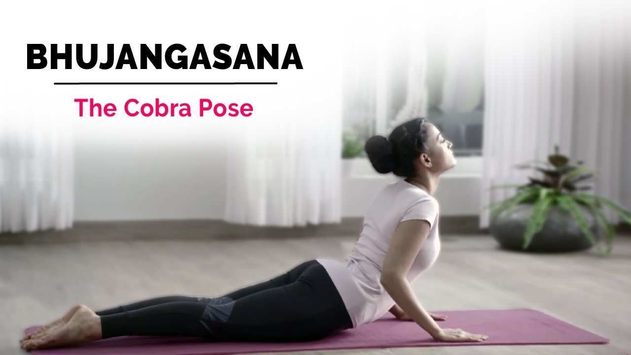 Bhujangasana | Cobra Yoga Pose | Steps | Benefits | Yogic Fitness