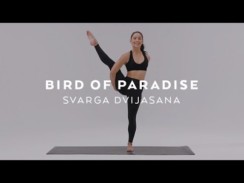 How to do Bird of Paradise Pose |  Svarga Dvijasana Tutorial with Briohny Smyth