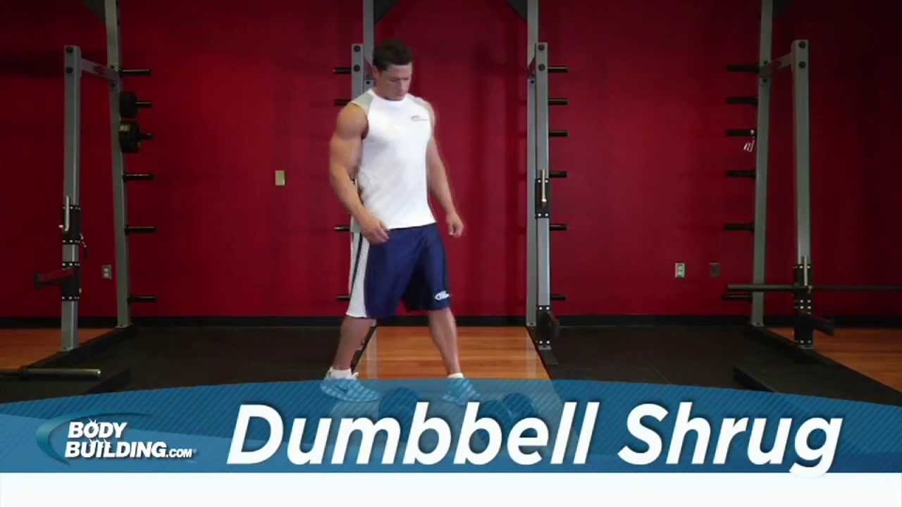 Dumbbell Shrug - Shoulder Exercise - Bodybuilding.com