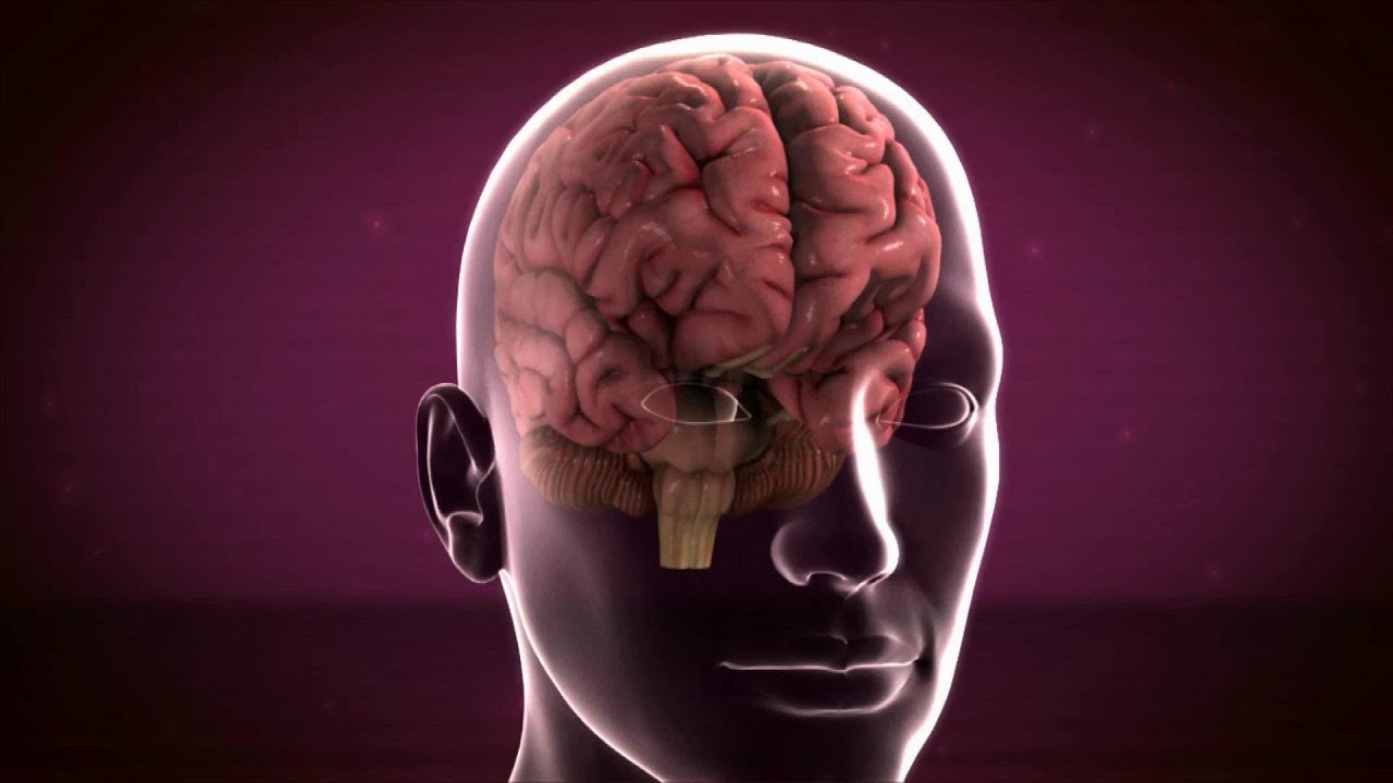 Seizures