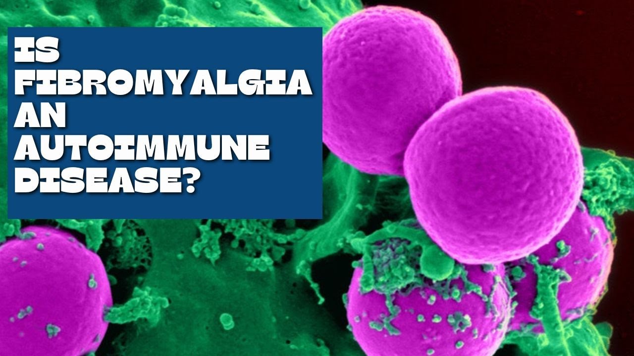 is fibromyalgia an autoimmune disease ? - Answered in this video