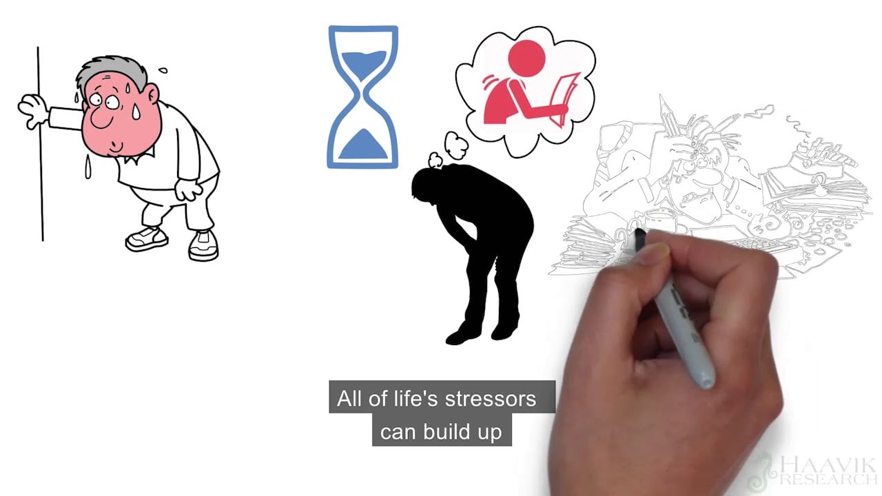 Chiropractic Maintenance Care