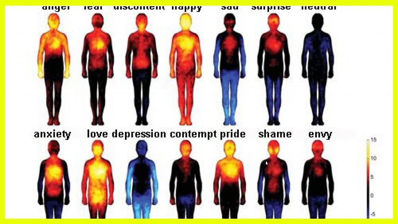 How Negative Thoughts and Emotions Harm Your Body