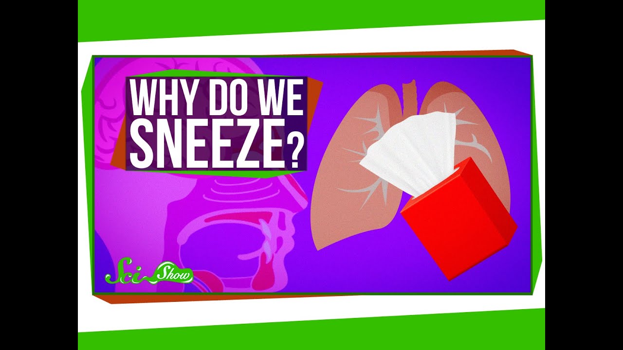 Why Do We Sneeze?