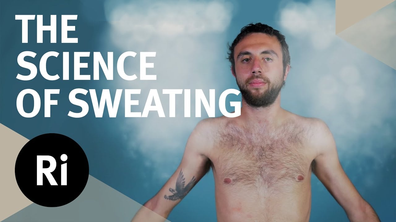 How To Sweat Less - The Science of Sweating