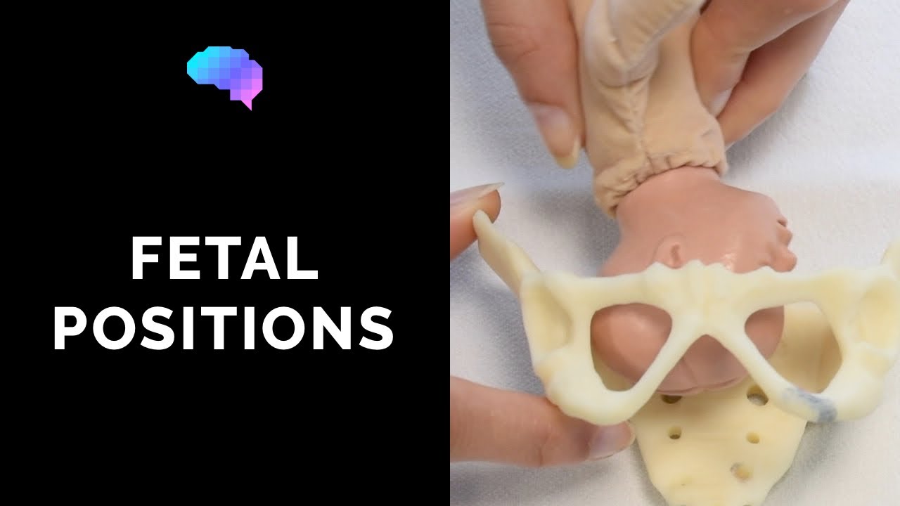 Types of Fetal Positions - OSCE Guide