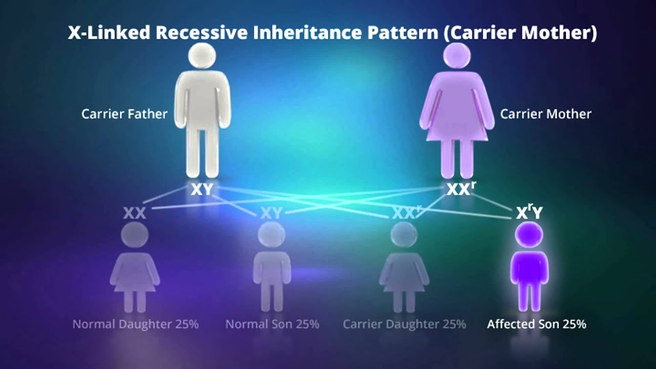 What is X-linked Recessive Inheritance?