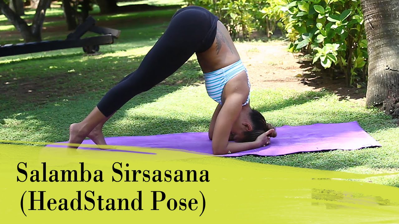 Yoga Asana - Salamba Sirsasana (Head Stand Pose) - Strengthens Lungs and Abdomen