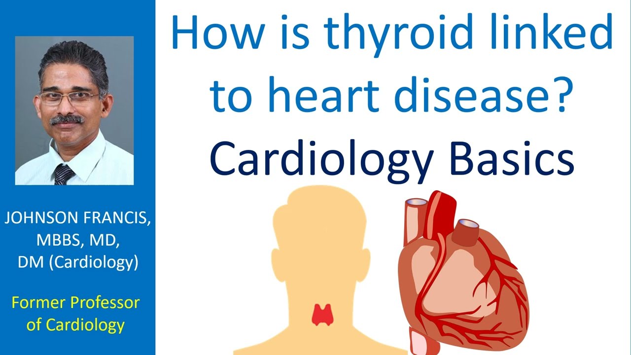 How is thyroid linked to heart disease - Cardiology Basics