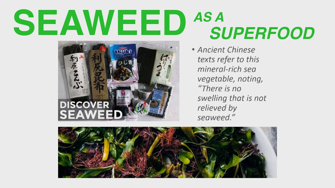 Seaweed as a Superfood - Vitamins, Minerals, Fiber and Protein