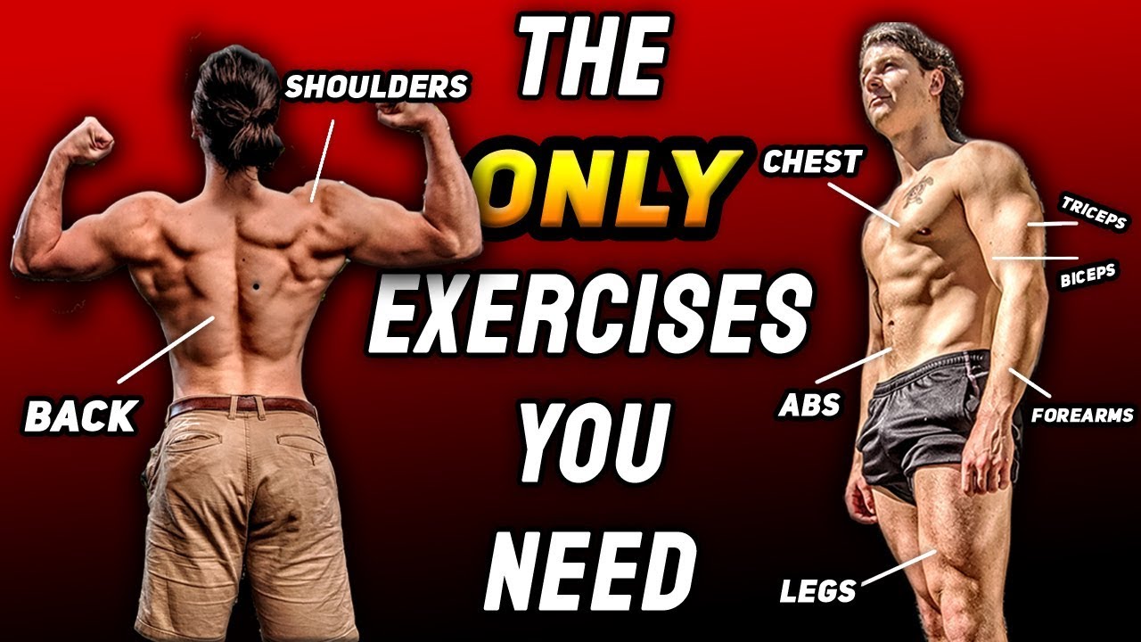 The 3 Best Exercises For Each Muscle Group (ALL YOU NEED TO GET BIG)