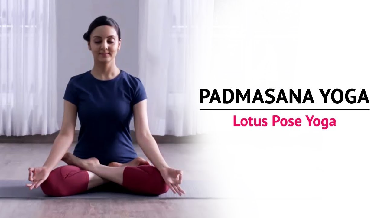Padmasana Yoga | Lotus Pose Yoga | Steps | Benefits | Yogic Fitness