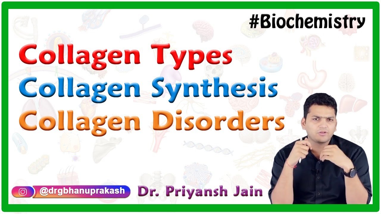 Collagen Types, Collagen synthesis, Collagen disorders