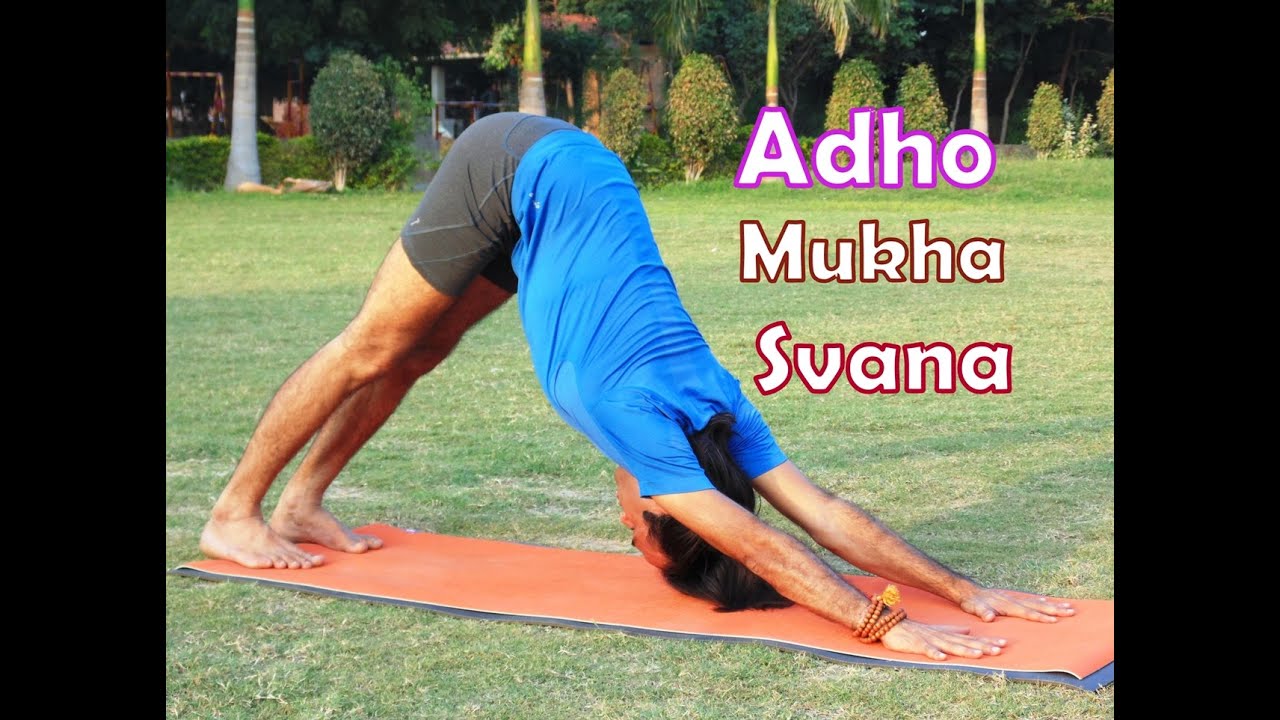 Adho Mukha Svanasana | Downward Facing Dog Pose | 2 Minutes Full Body Stretch Yoga Health