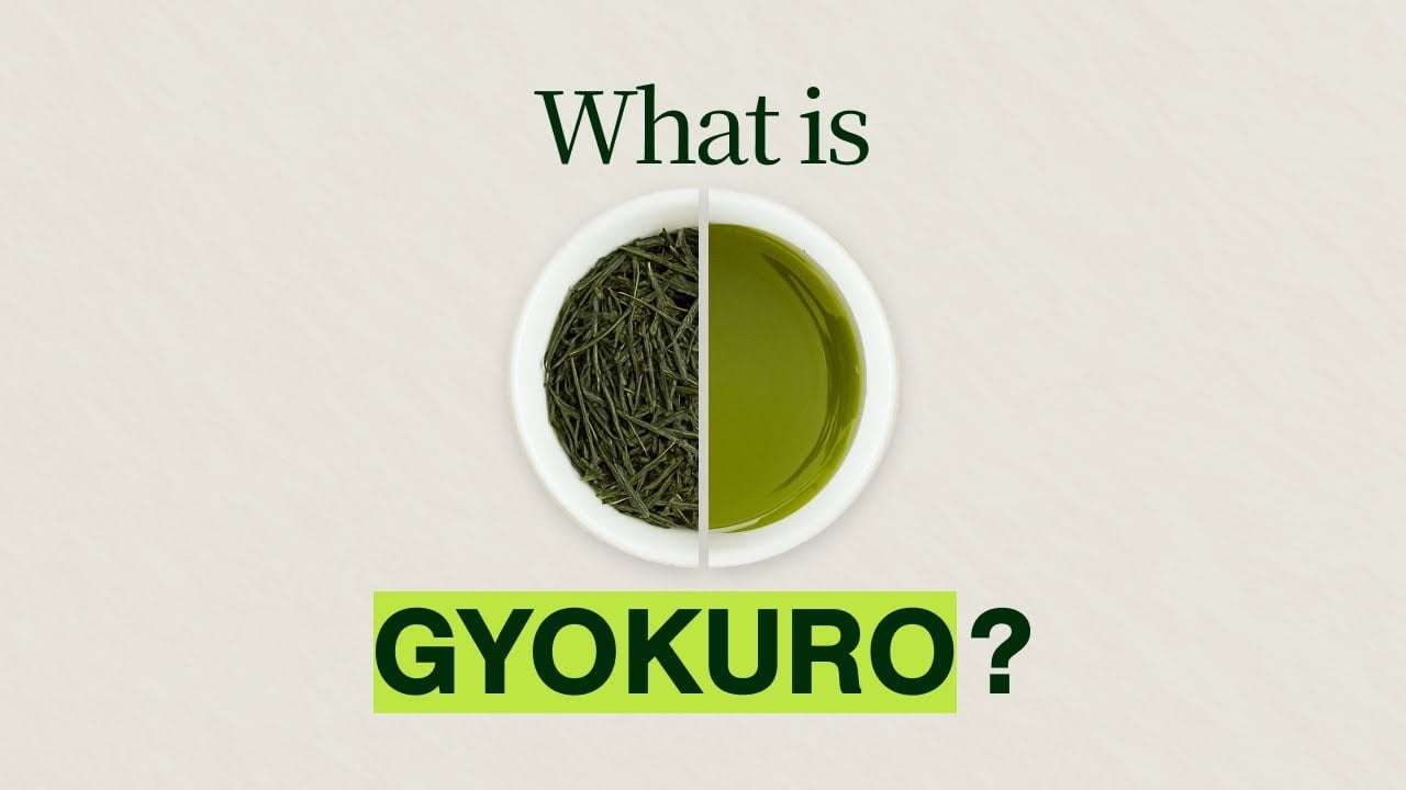 What is Gyokuro? How Gyokuro Green Tea is Made and the Benefits of Gyokuro Tea