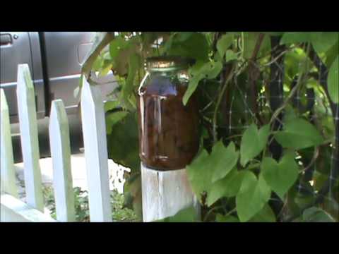 Shelf Life of Home Canning