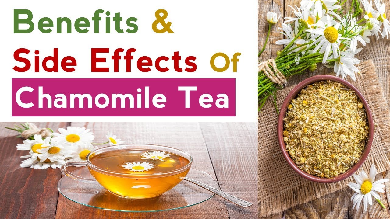 Benefits and Side Effects Of Chamomile Tea