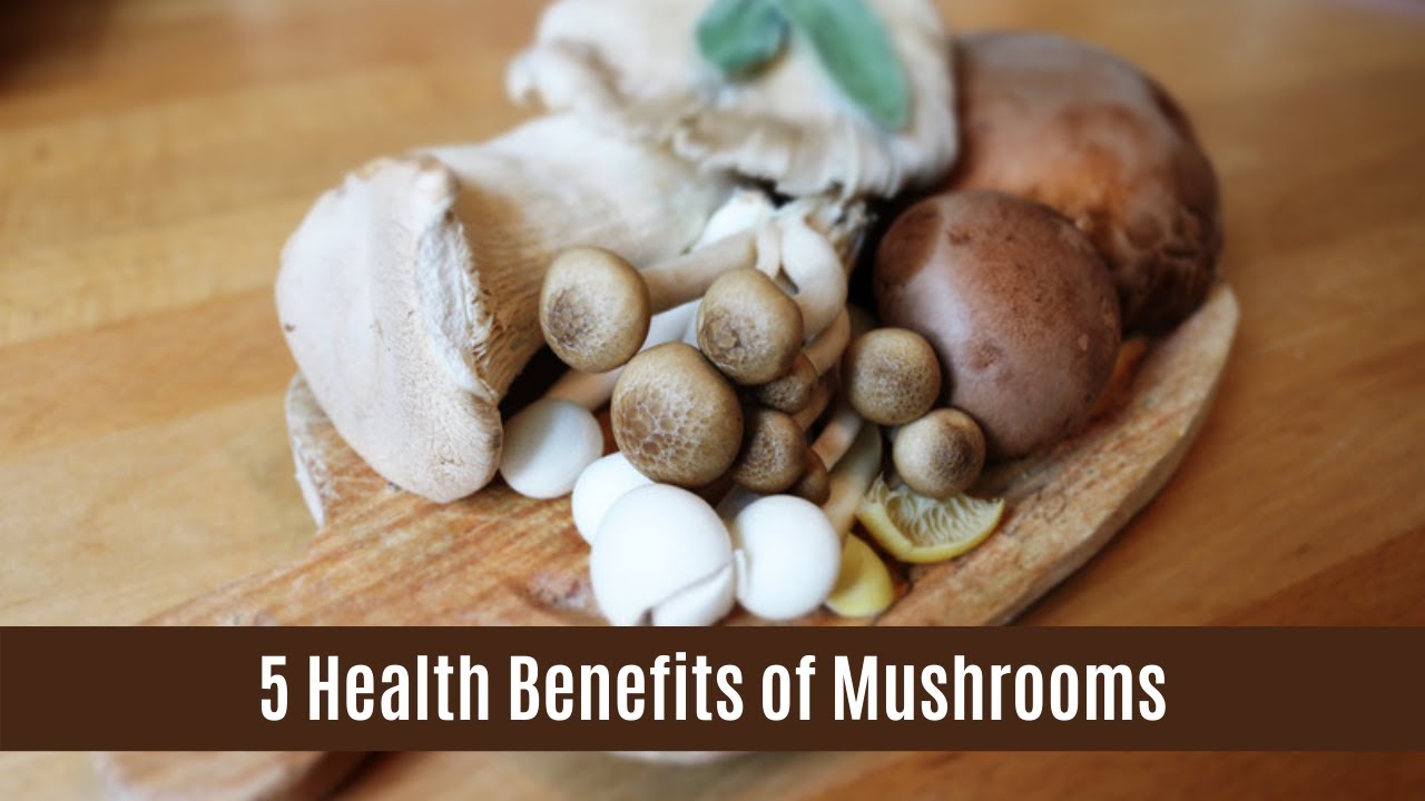 5 Health Benefits of Mushroom