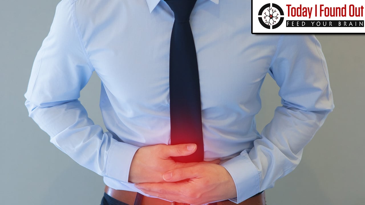 Why Does Your Stomach Growl When You're Hungry?