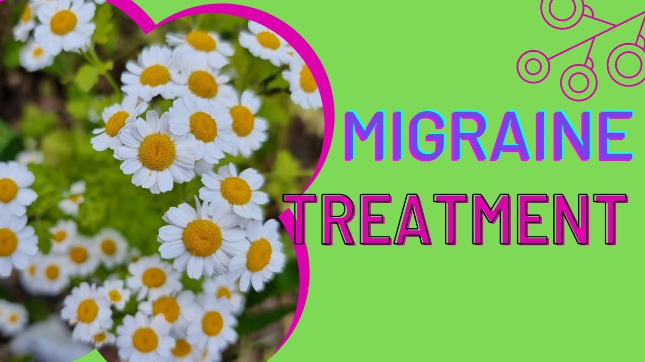 Feverfew to treat migraines