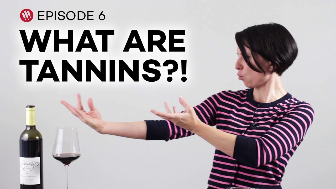 Wine Folly: Tannins in Wine (Ep.6)