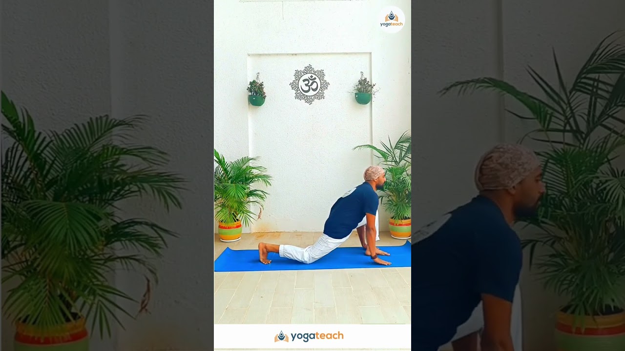 Ashwa Sanchalanasana | Yogateach
