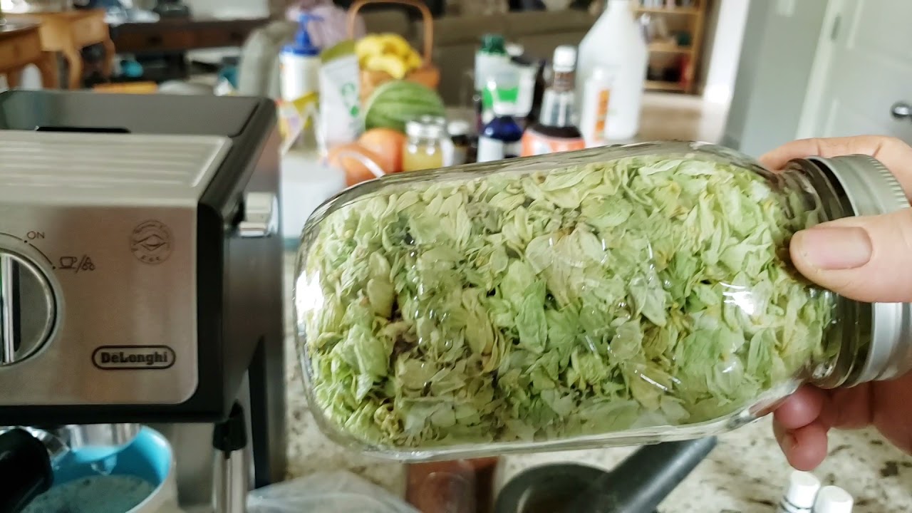Extracting Shikimic acid from star anise