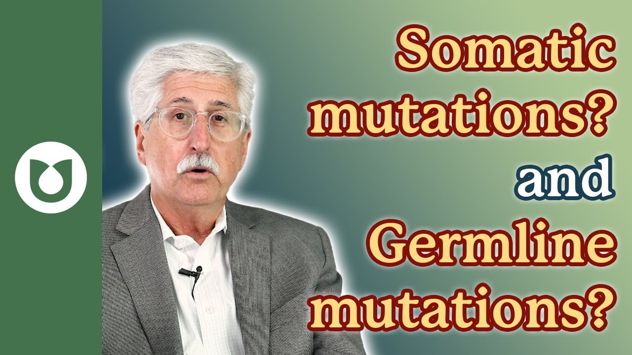 What are somatic mutations? What are germline mutations?