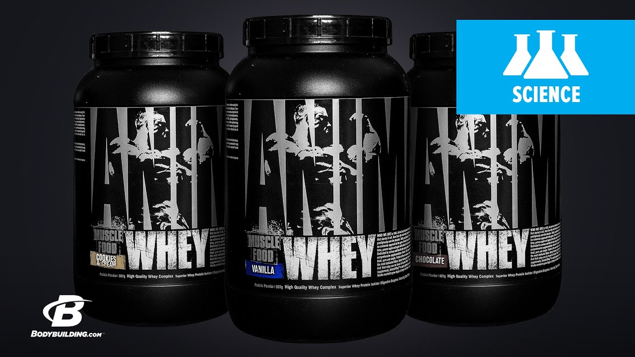 Universal Nutrition Animal Whey | Science-Based Overview