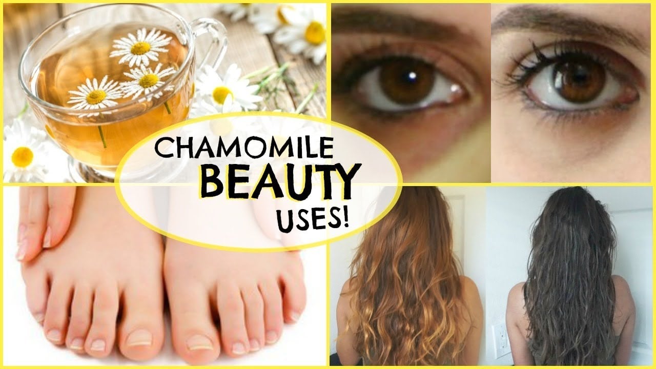 5 Beauty Uses Of CHAMOMILE TEA! 🌼 UNDER EYE BAGS, DARK CIRCLES, FACE TONER, ANXIETY, HAIR AND MORE!
