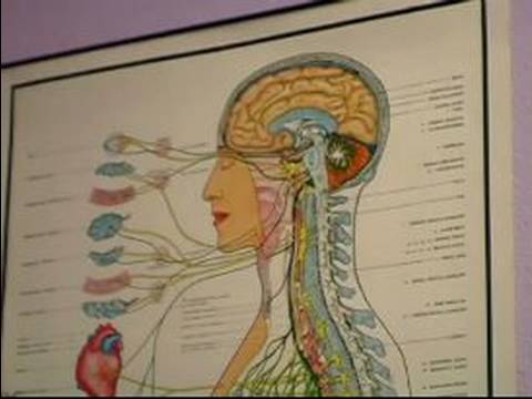 What Does a Chiropractor Do? : Benefits of a Chiropractic Adjustment