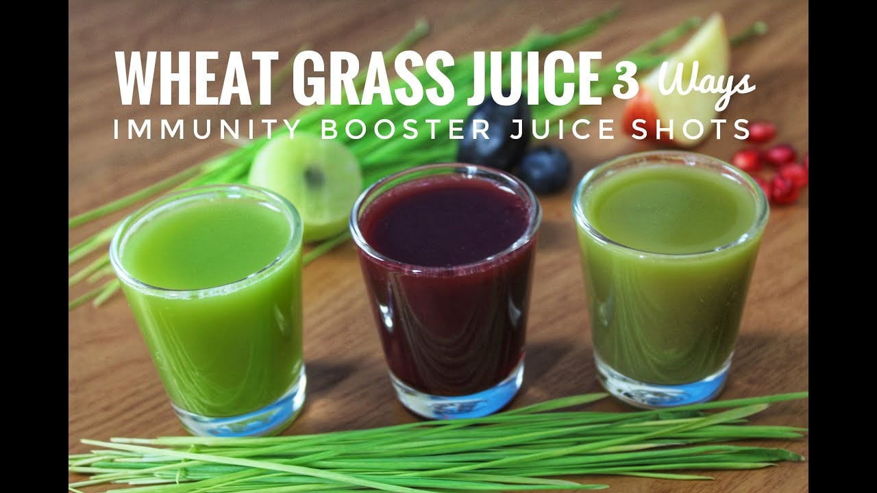 Wheatgrass Juice Shots||Immunity Booster Wheatgrass Juice|| स्वास्थदायक गेहू के जवारे का रस