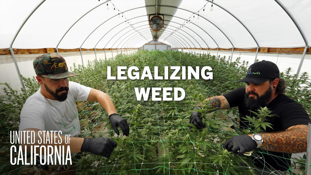 Is it high time for the feds to legalize weed?