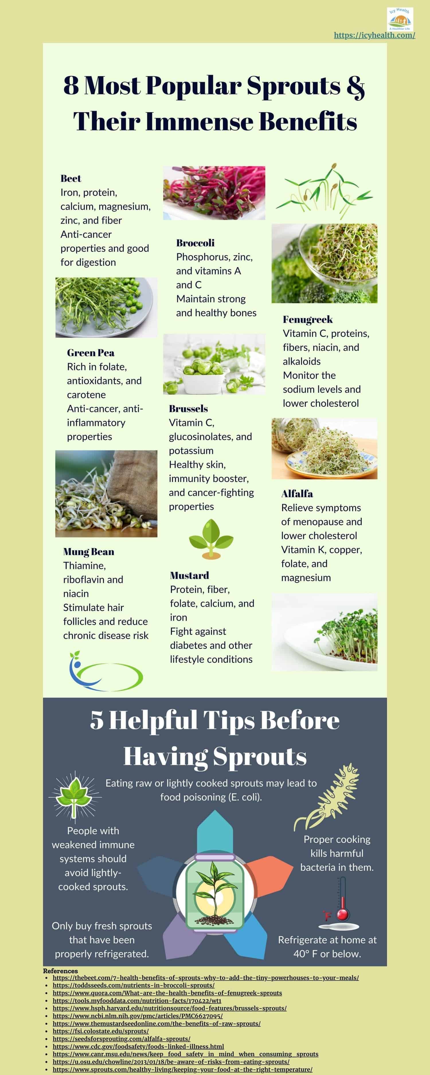 5 Amazing Red Clover Sprouts Health Benefits Icy Health