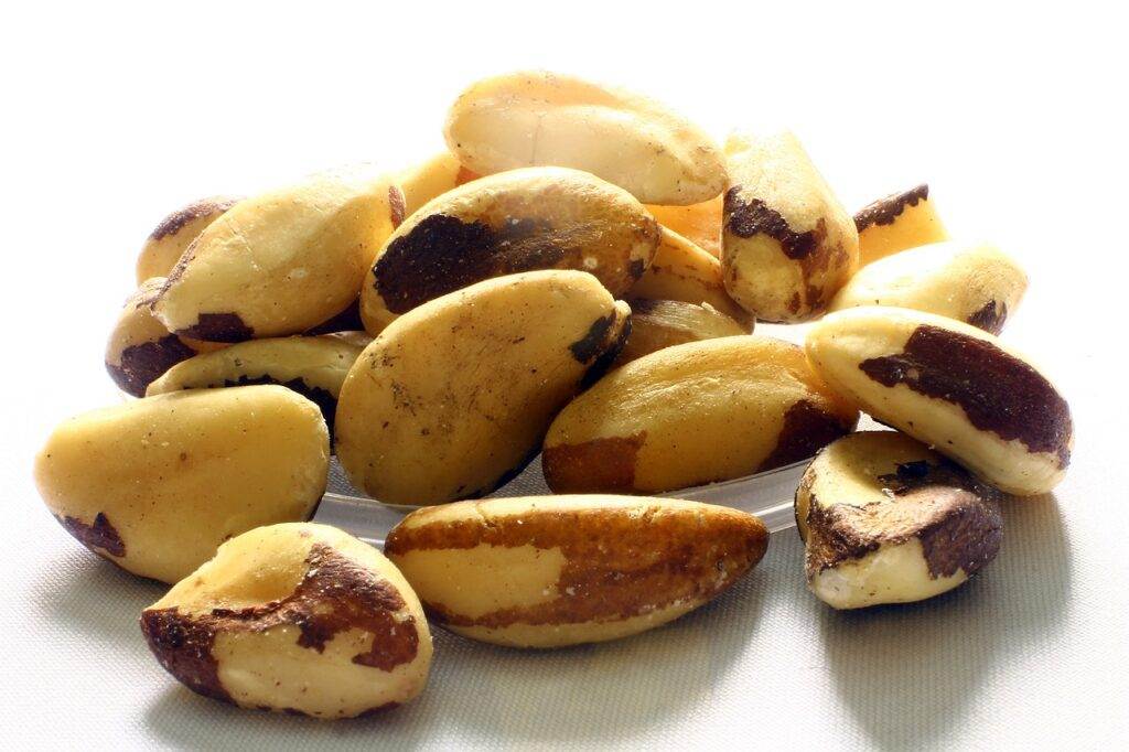 How Many Brazil Nuts A Day And 10 Best Benefits