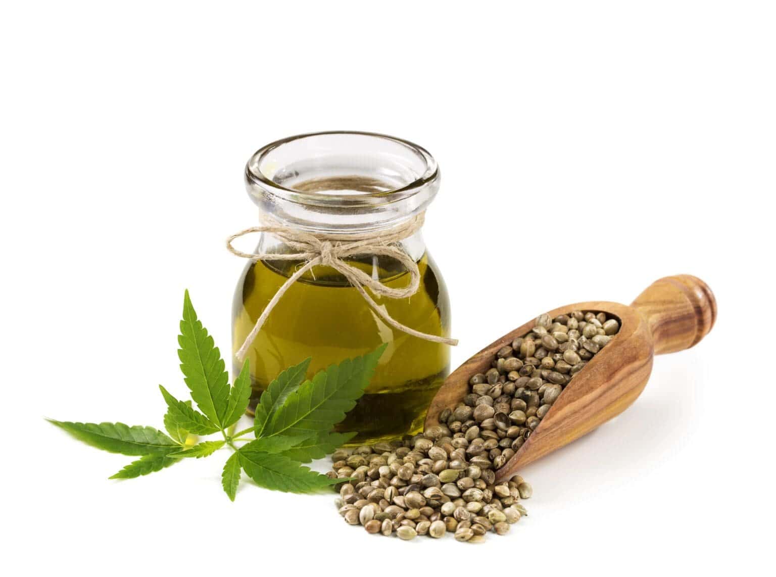 What Are Seed Oils 6 Harmful Effects You Should Know About what-are-seed-oils-6-harmful-effects-you-should-know-about