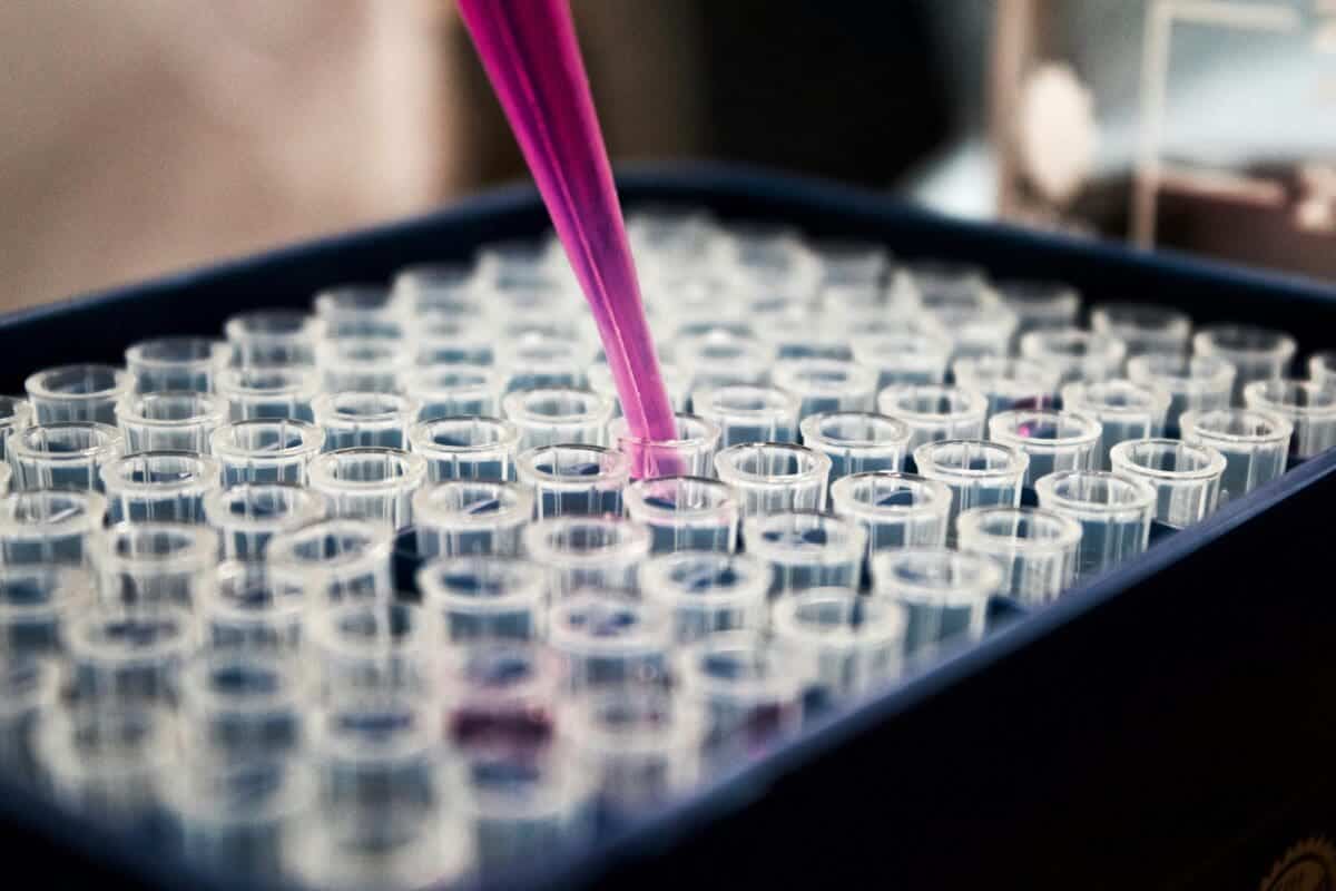 chemical composition